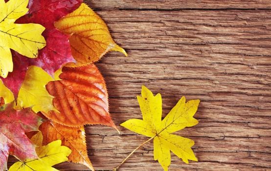 Wellnessangebote Herbst