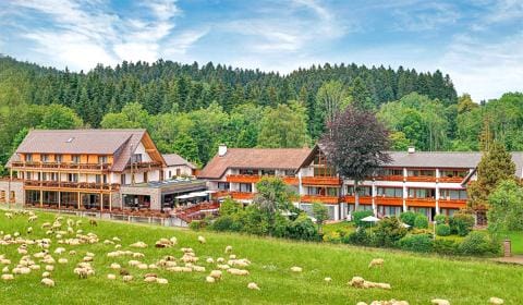 Urlaubs- und Wellnesshotel Freudenstadt-Lauterbad