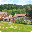 Wellnesshotel Schwarzwald Freudenstadt