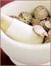 Wellness fern�stlich